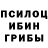 Псилоцибиновые грибы ЛСД Matthew Perrin