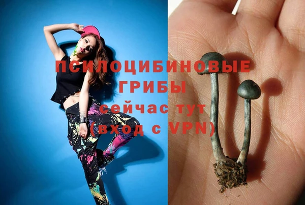 бутират Армянск