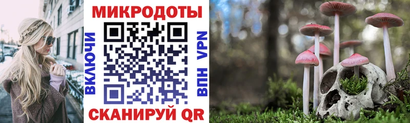 сколько стоит Киселёвск Псилоцибиновые грибы мухоморы